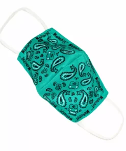 HUNET USA Characters Keroppi Paisley Face Mask