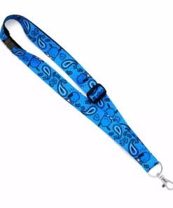 HUNET USA Characters Pochacco Paisley Lanyard