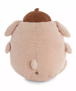 Sanrio Original Pompompurin 6