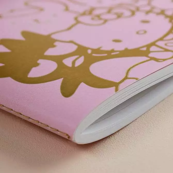 Characters Hello Kitty And Friends X Erin Condren Petite Journal 4 Characters Hello Kitty And Friends X Erin Condren Petite Journal