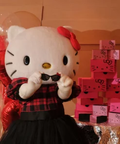 REVE (Black Truffle) Hello Kitty X REVÉ By RENÉ Biu Biu Sunglasses (Bow Red) Characters